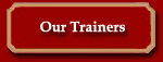 Horse training